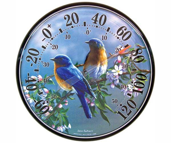  James Hautman 12.5 inch Bluebird Thermometer